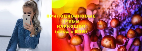 дурь Алзамай